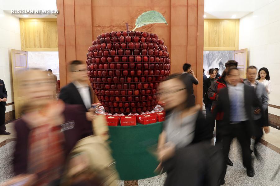 Первый всемирный форум по яблочному производству пройдет в пров. Шэньси