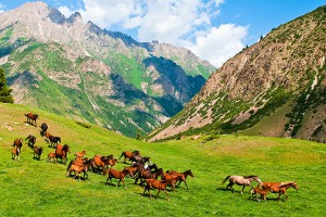 Кыргызстан вошел в пятерку премии National Geographic Traveler Awards 2016