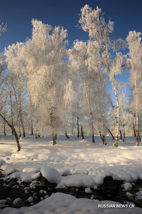 Зимняя сказка в округе Алтай