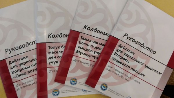 В Кыргызстане 35% женщин репродуктивного возраста страдают от железодефицитной анемии из-за плохого питания, - замминистра здравоохранения