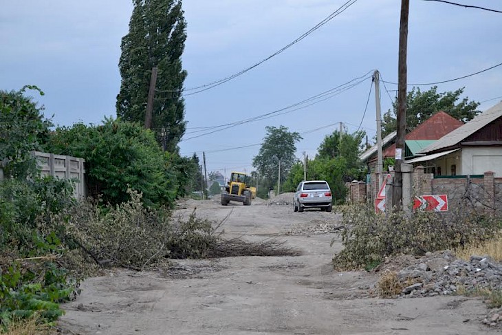 Мэрия Бишкека: На ул.Фрунзе будет высажено 80 молодых деревьев и кустарников