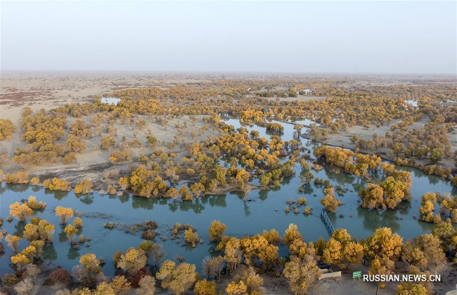 В 2017 году объем экологической водопереброски в низовья реки Тарим превысил 1 млрд кубометров