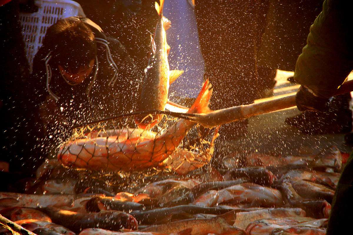 Китайский рыбак стал интернет-знаменитостью путем прямой трансляции рыбной ловли