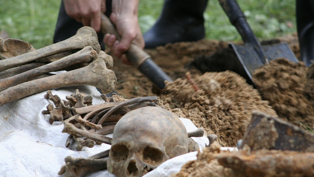 В Китае обнаружены останки ребенка возрастом 11 тысяч лет