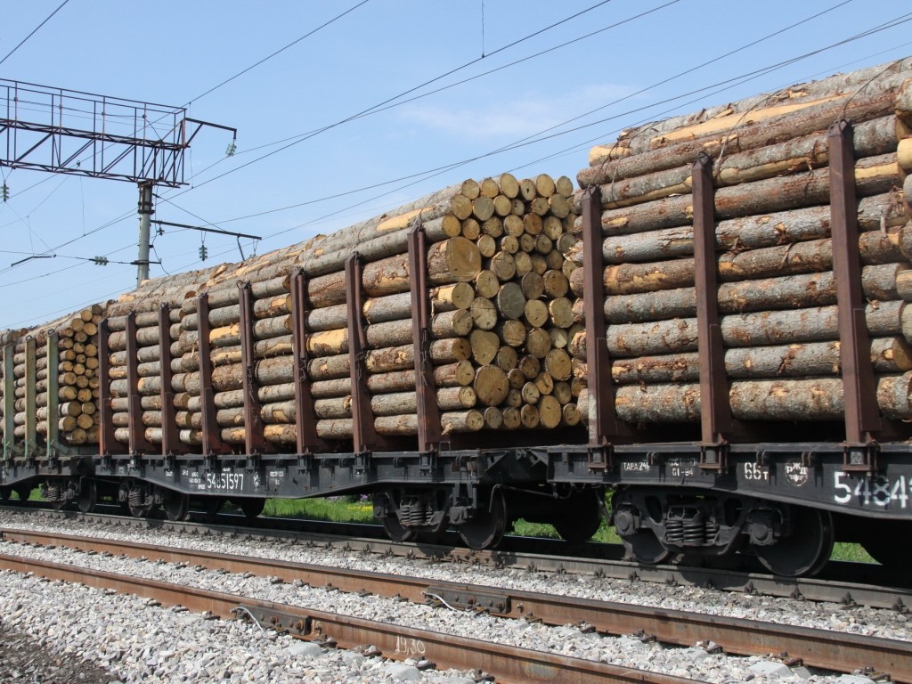Через КПП Маньчжоули в Китай впервые поставлена древесина из Финляндии