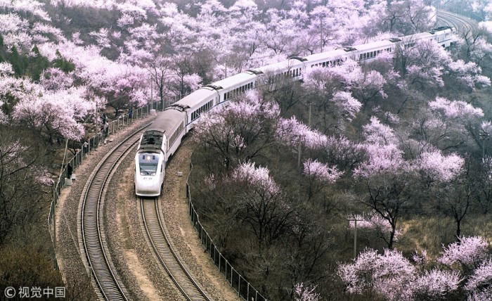 Китайские железные дороги введут динамическое ценообразование