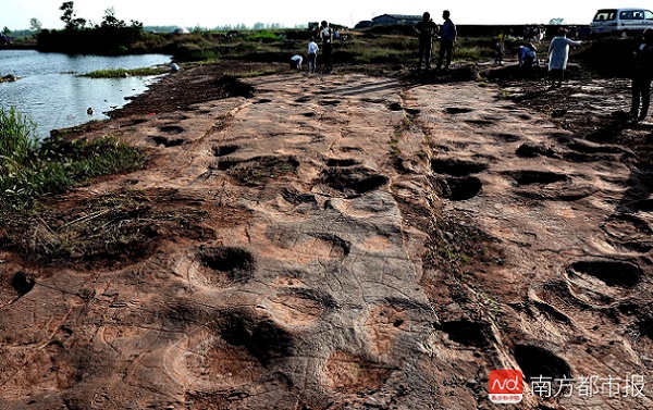 В китайском Шаньдуне найдены следы динозавров из фильма «Мир юрского периода»