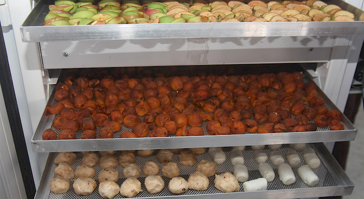 В Лейлеке открыли мини-цех по переработке фруктов, ягод и овощей
