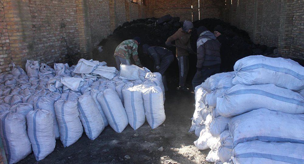 Полезно тем, кто хочет купить уголь: цены в Кыргызстане и прогноз