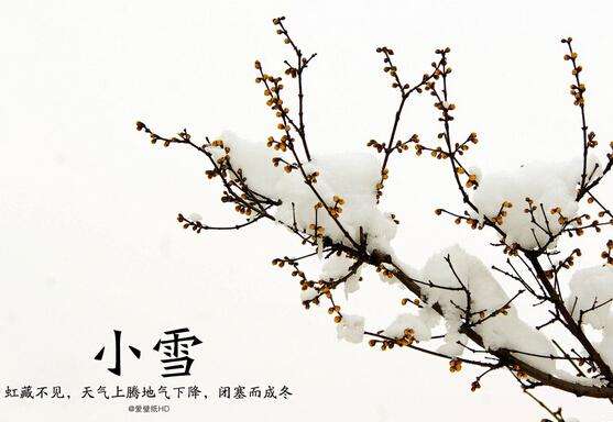 Китай встречает Малые снега