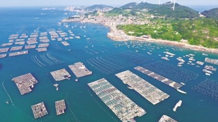 В 2017 году патентная база морской экономики Китая возросла на 15,3%