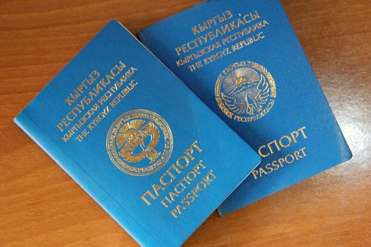 Президент подписал Указ о выходе из гражданства КР 366 человек