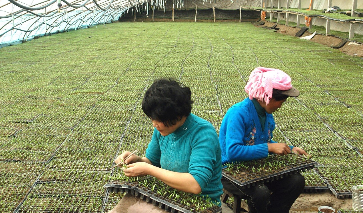 Работники 2-го дивизиона города Тимэньгуань готовы написать новую главу подготовки к сельскому хозяйству весной