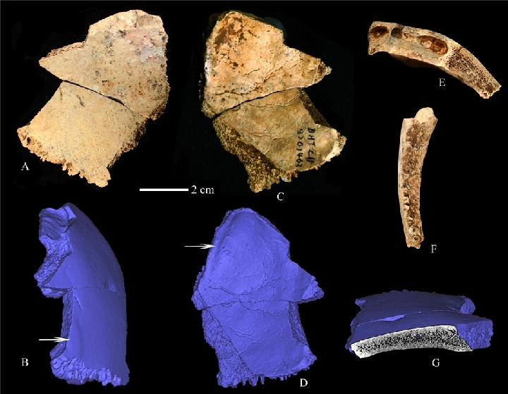 Китайские ученые обнаружили останки древних людей, живших около 300 тыс. лет назад
