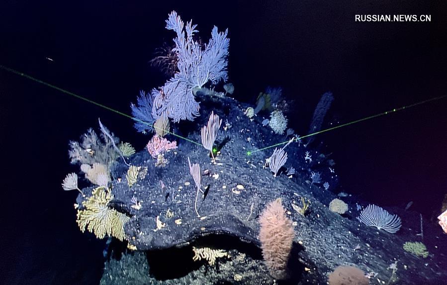 Китай исследует подводные горы в южной части Марианского желоба