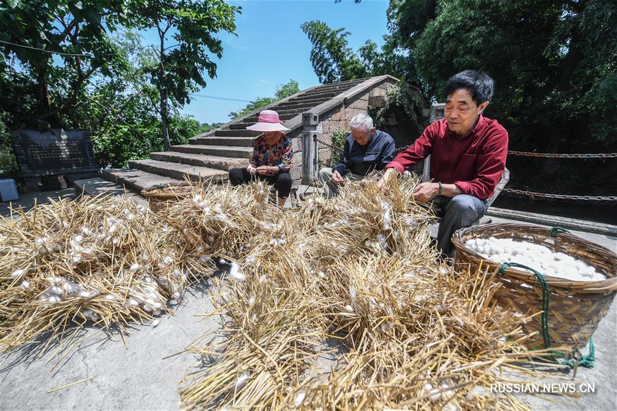Новая жизнь тысячелетней деревни Луцунь -- 