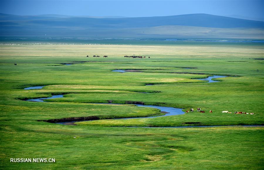 Очарование бескрайних степей Внутренней Монголии