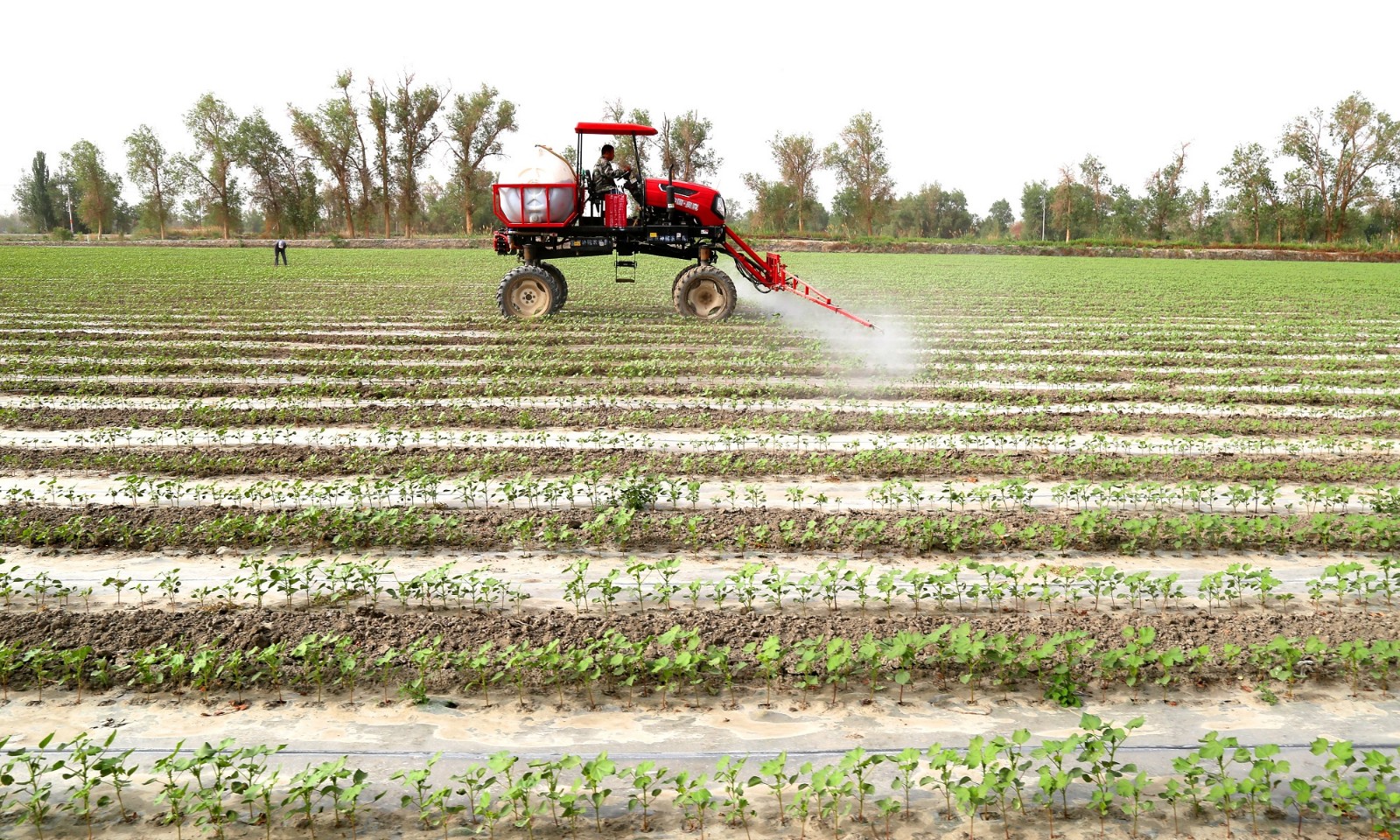 2-я дивизия СПСК:  Сельхозтехника будущего и инновации для аграрного сектора