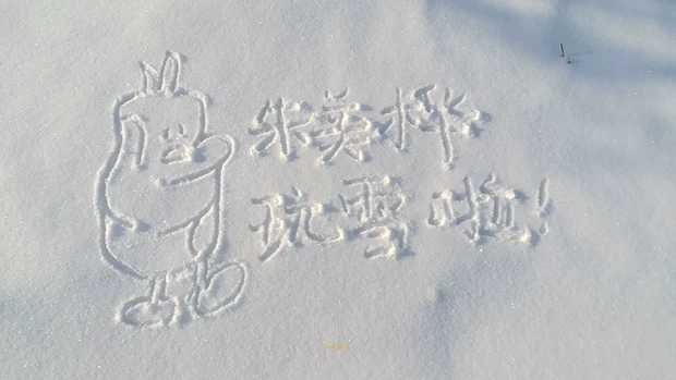 Зимний креатив: на китайской торговой онлайн-площадке Taobao продают фото надписей на снегу