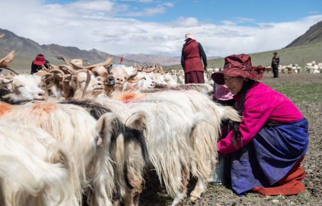 Еще 19 районов в Тибете будут исключены из списка бедных районов
