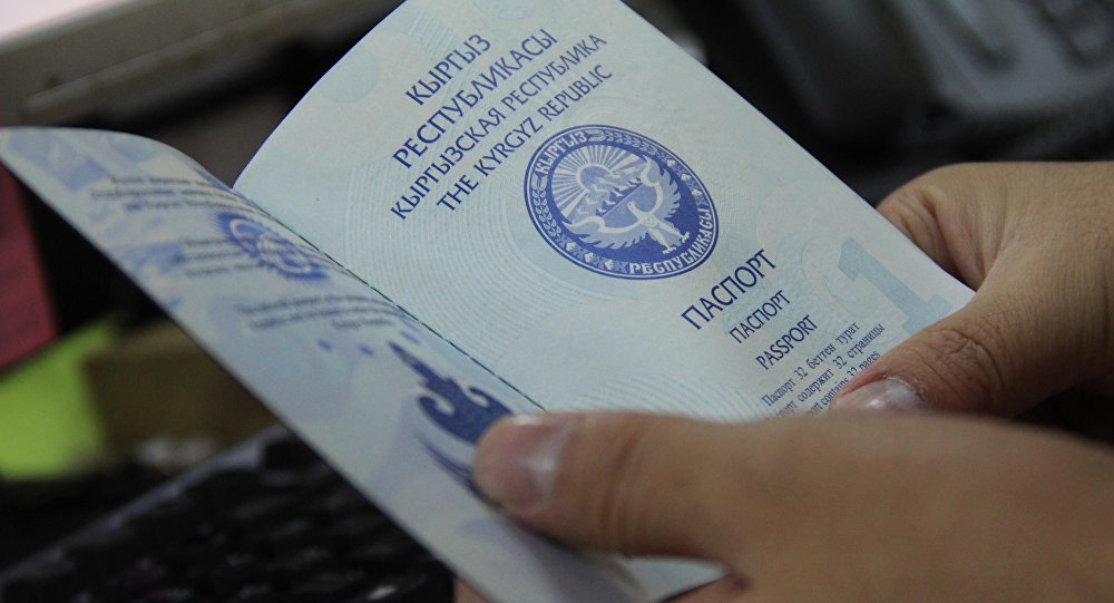 Новые виды виз для иностранцев представил МИД Кыргызстана