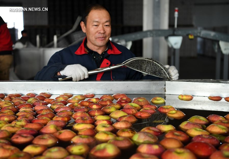 В южных районах Синьцзяна отмечен быстрый рост импорта и экспорта сельскохозяйственной продукции за первые 11 месяцев 2019 года