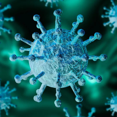 Ученые обладают убедительными доказательствами о естественном происхождении коронавируса