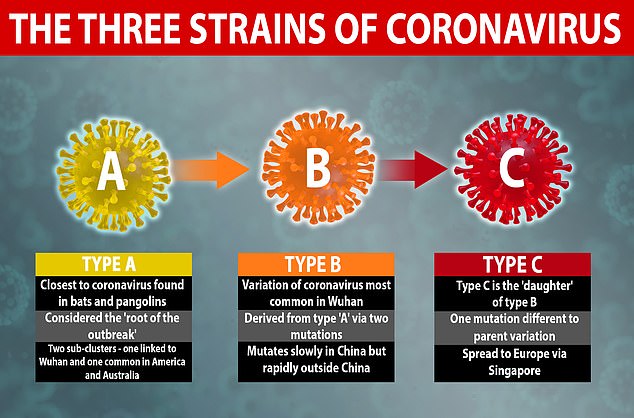 Ученые обнаружили три разновидности коронавируса
