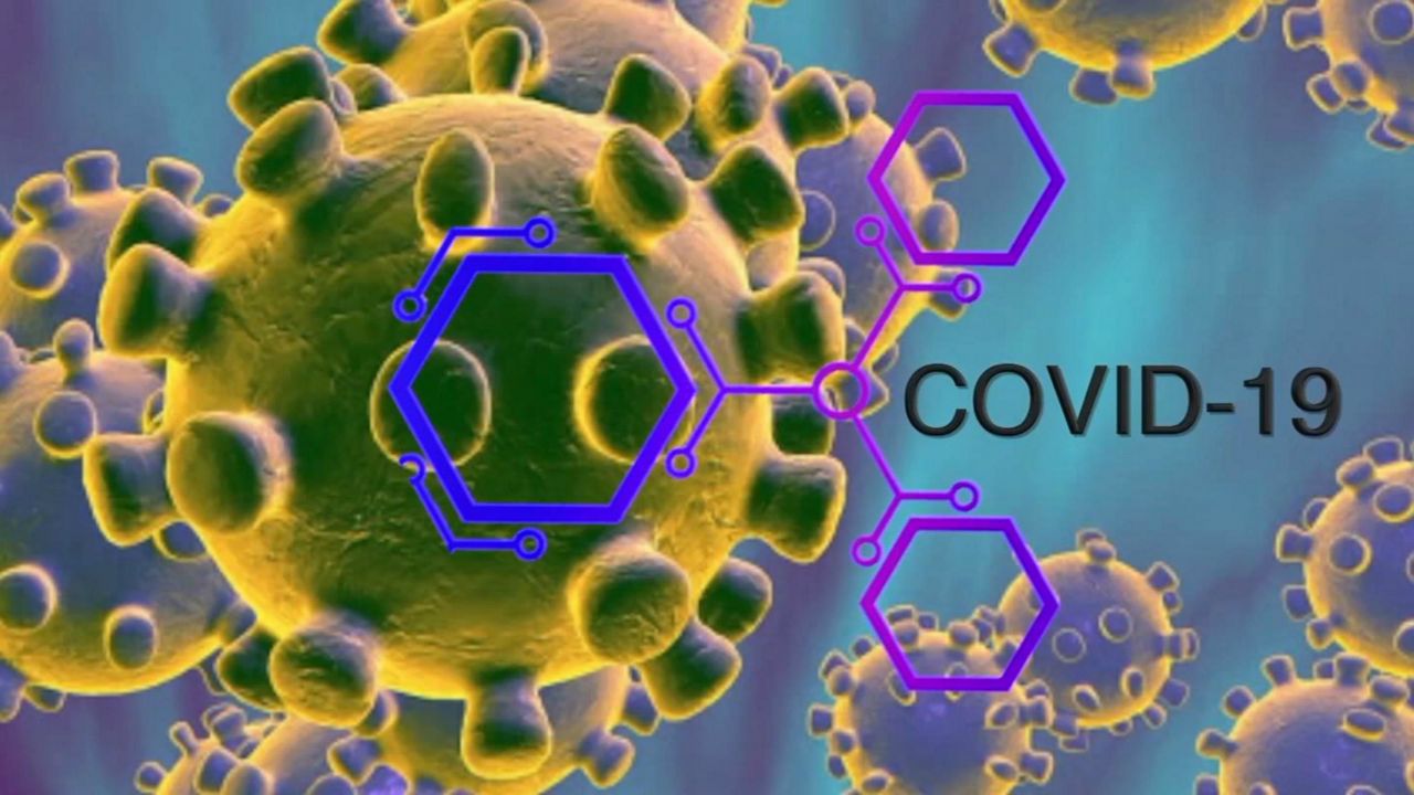 Все страны должны нести ответственность за свою ситуацию с эпидемией COVID-19