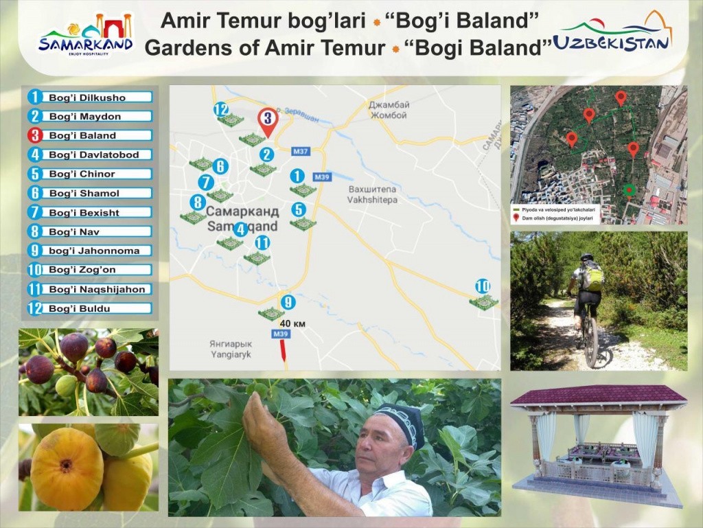 【наши соседи】 Инжирный сад Амира Темура в Самарканде станет туристическим объектом