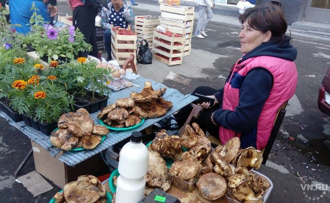 Выращиванием грибов в Синьцзяне заинтересовались в Кыргызстане