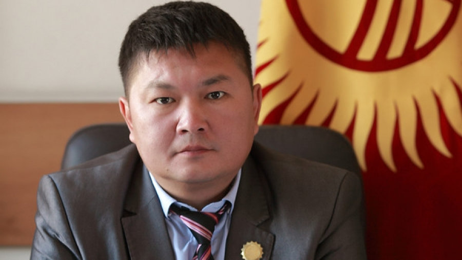 КЭРдин Тышкы иштер министри Ван Инин Кыргызстанга болгон иш сапары