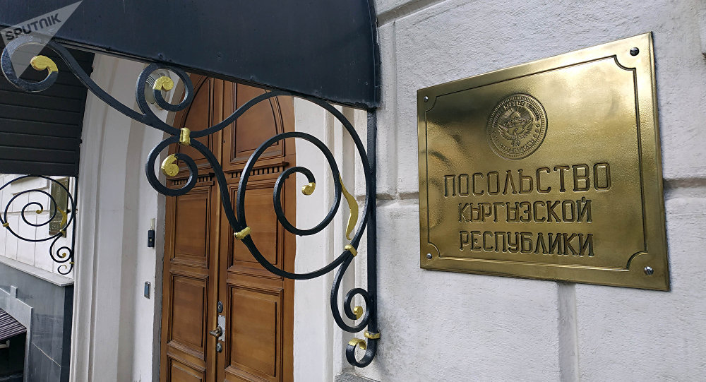 Посольство КР в России приостановило выдачу паспортов? Ответ МИД