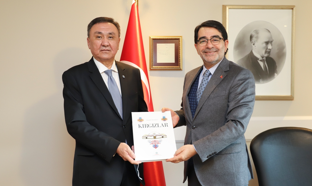 Посол Омуралиев встретился с главой Офиса человеческих ресурсов при аппарате президента Турции