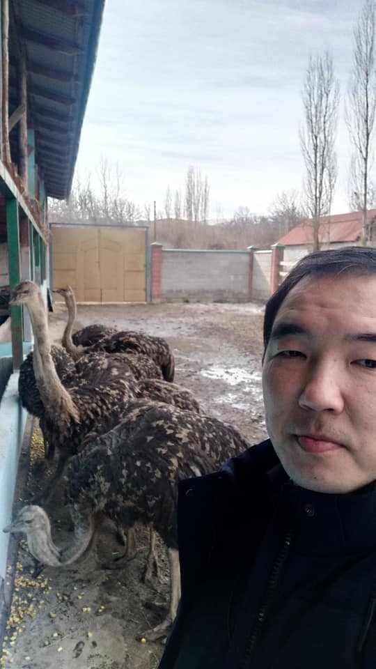 Кыргызстан назвали идеальным регионом для выращивания страусов